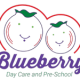 Blueberry Darcare and Preschool